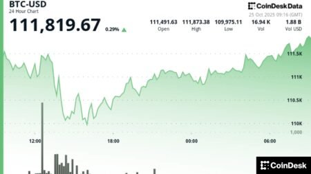 BTC Surpasses $111,000 as Traders Anticipate a Breakout