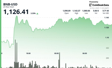 Why Did BNB Rise Today? Price Surges and Token Experiences 35% Volume Increase Following CZ Pardon