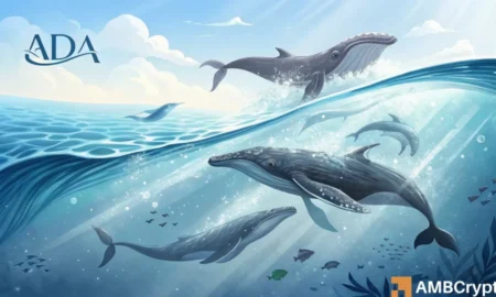 Cardano Price Forecast: Whales are Unlikely to Propel ADA’s Price Skyward Anytime Soon!