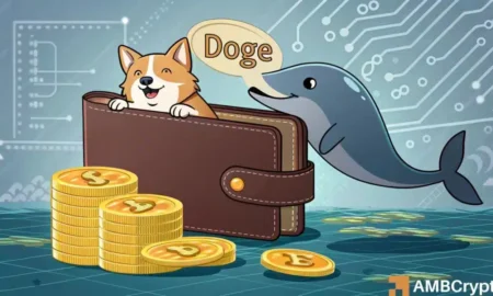 Dogecoin Whale Moves $2.9 Million: Is This the Turning Point for DOGE?