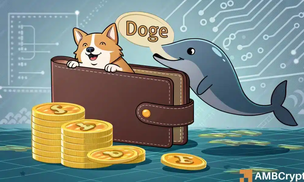 Dogecoin Whale Moves $2.9 Million: Is This the Turning Point for DOGE?