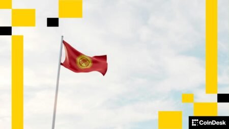 Kyrgyzstan Introduces National Stablecoin and Establishes Cryptocurrency Reserve: CZ